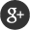 Google+
