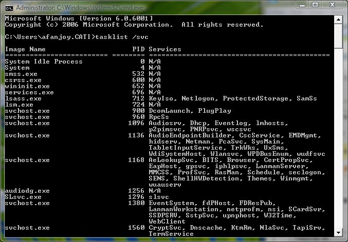 , What about svchost.exe