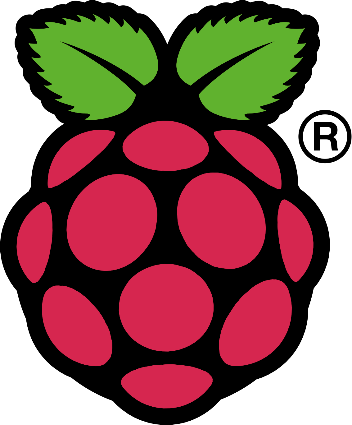 Raspi_Colour_R