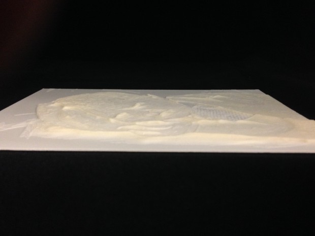 3D Printed Lithophane 
