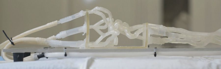 stratasys_3d_printed_medical_model_jacobs_institute