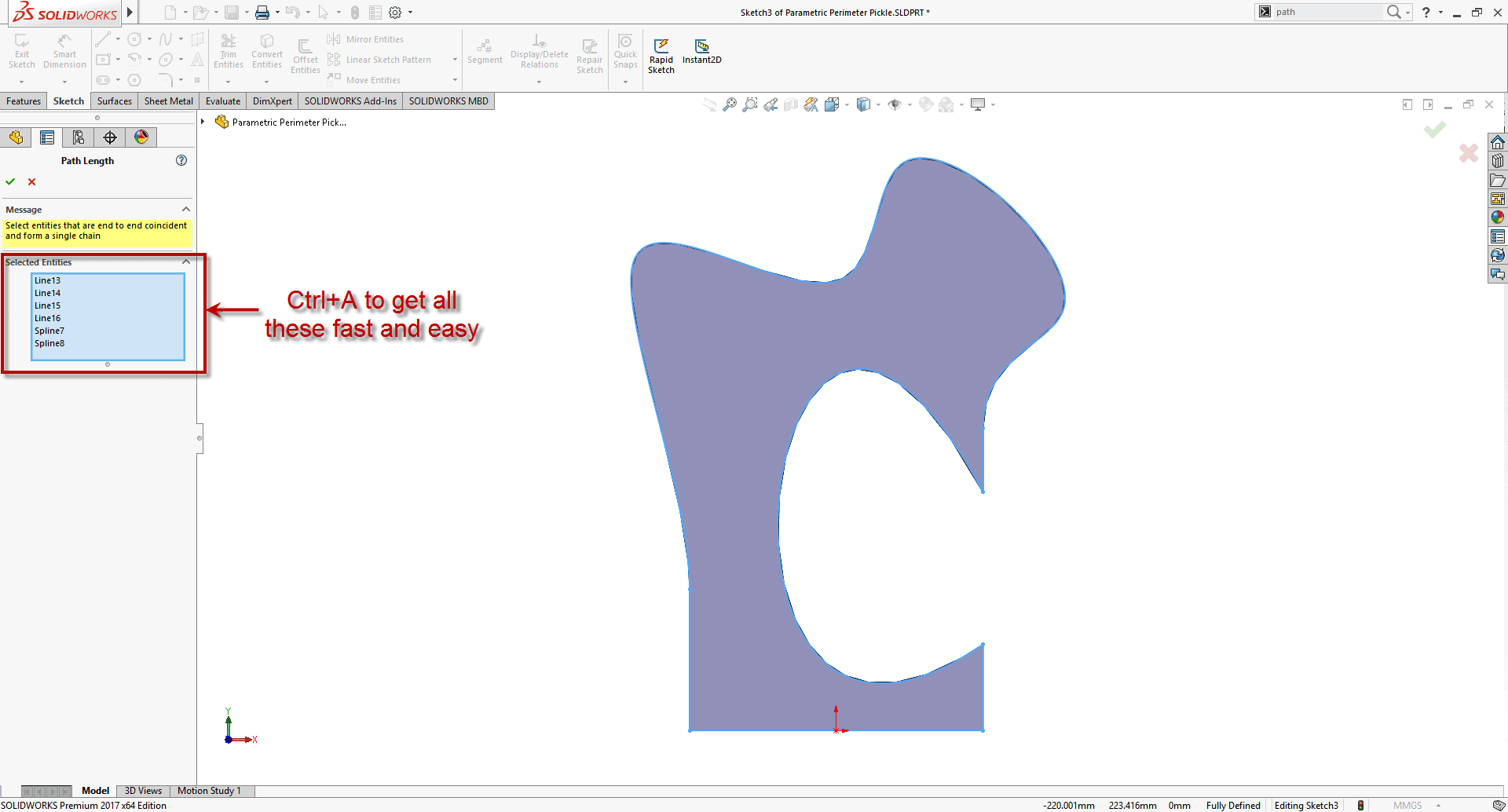 Path Length Segment