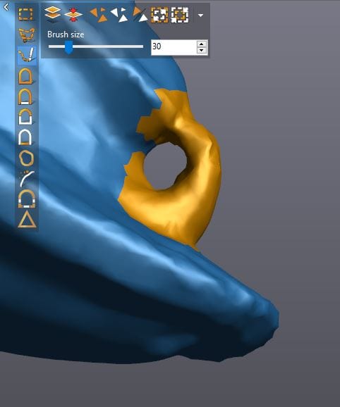 , How To: From 3D Scanning to 3D Printing