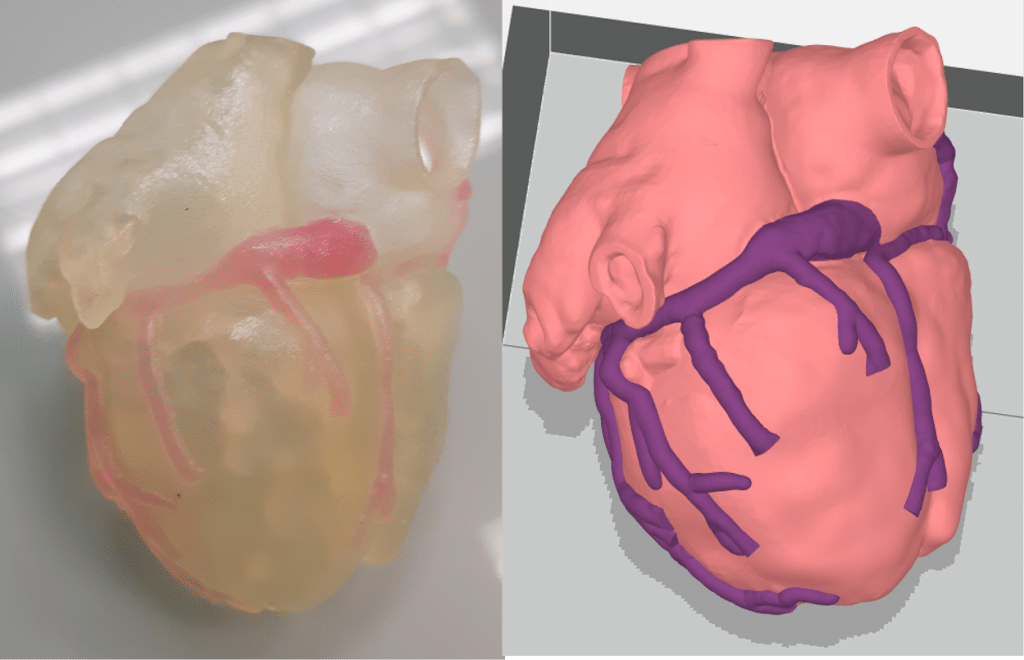 , J750 Digital Anatomy: First Impressions