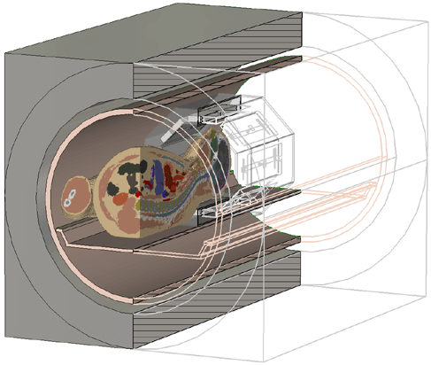 A model to test an 8 channel head coil, including the magnet bore, the gradient coils and the HUGO voxel model.