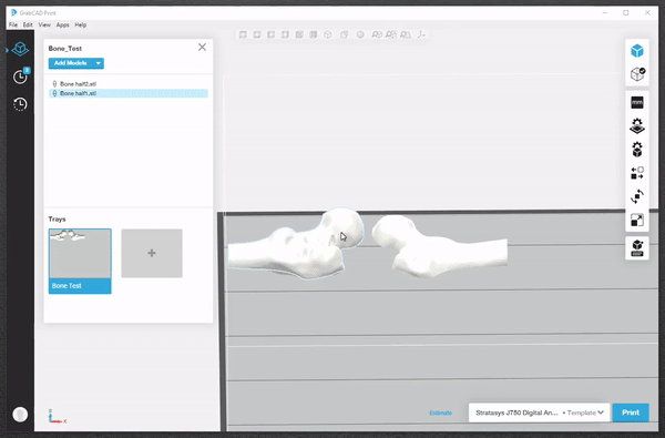 , What&#8217;s New with Stratasys: Digital Anatomy Printer Updates