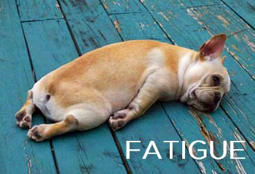 , What is Fatigue, and Why is it so Stressful?